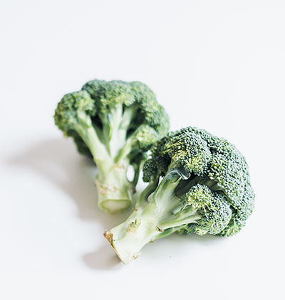 Food Recipes Landing