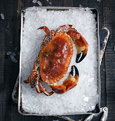 Food Recipes Landing